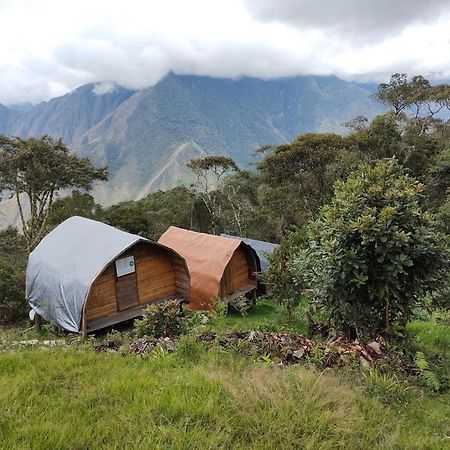 Machupicchu Ecolodge Cusco Dış mekan fotoğraf